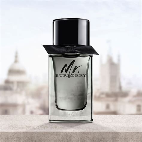 mr burberry cofanetto regalo|Mr. Burberry Eau de Toilette 100ml .